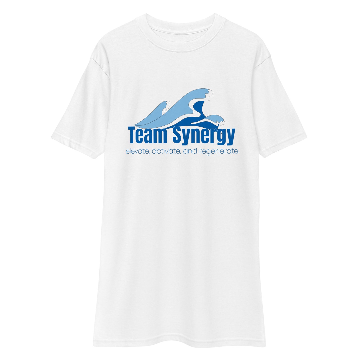 Team Synergy-Men’s premium heavyweight tee