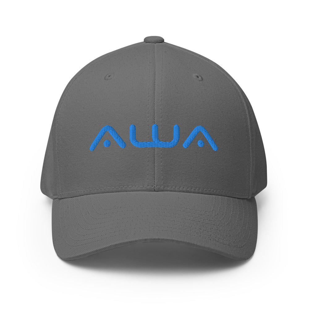 AWA Reps-Structured Twill Cap